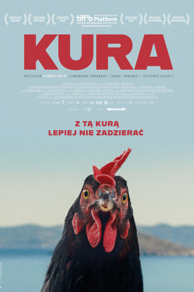 Plakat wydarzenia: Kura - przedpremiera 