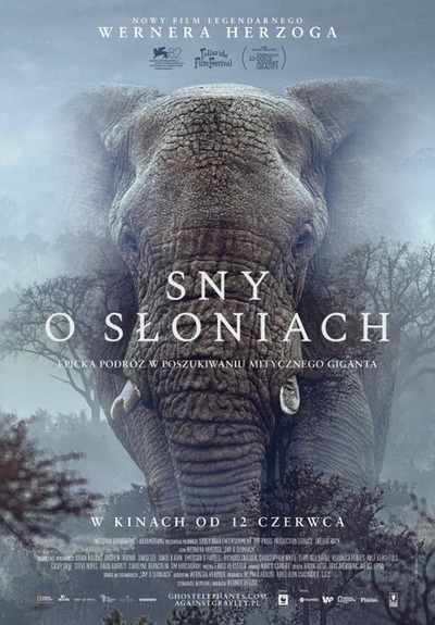 Plakat wydarzenia: Sny o słoniach  